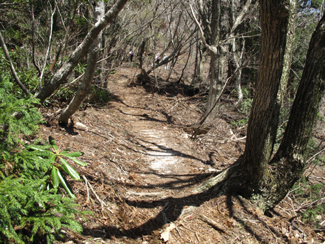 20140502hike (183)